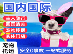 三沙航空邮寄国际宠物托运 【国